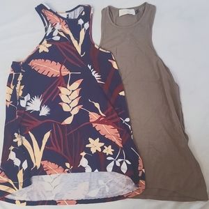 Fighting Eel Tank Bundle